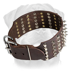 Extra wide collar with     decoration for Rottweiler