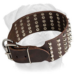 Durable leather collar for Rottweiler