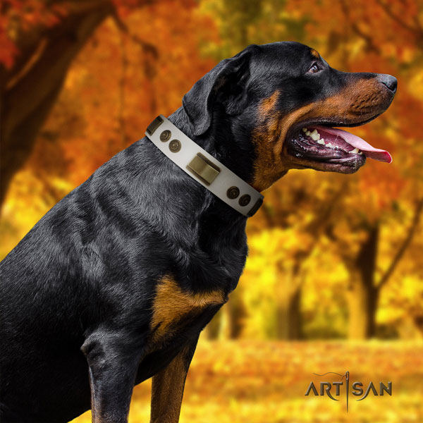 Rottweiler comfortable collar with trendy embellishments for your canine