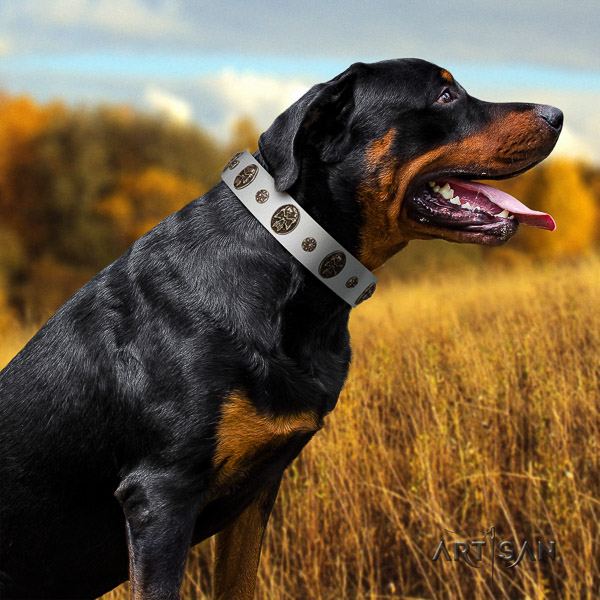 Rottweiler handy use leather collar for your beautiful dog
