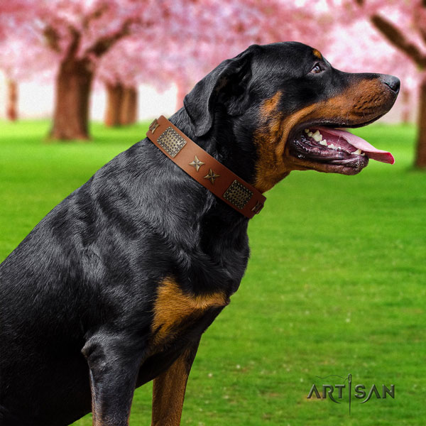 Rottweiler handmade collar with stylish design embellishments for your dog