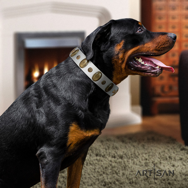 Rottweiler daily use full grain natural leather collar for your impressive canine