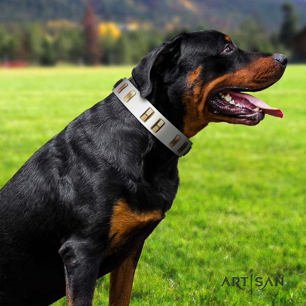 Rottweiler comfy wearing natural leather collar for your attractive dog