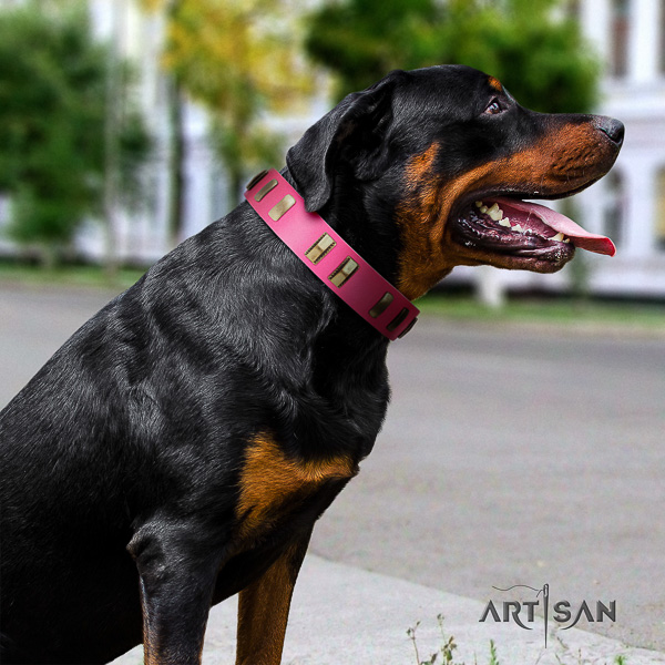 Rottweiler comfortable wearing natural leather collar for your stylish pet