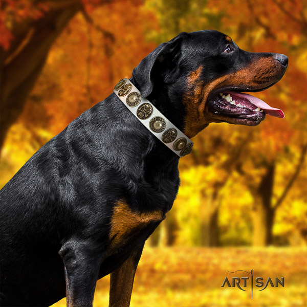 Rottweiler fancy walking full grain leather collar for your lovely doggie