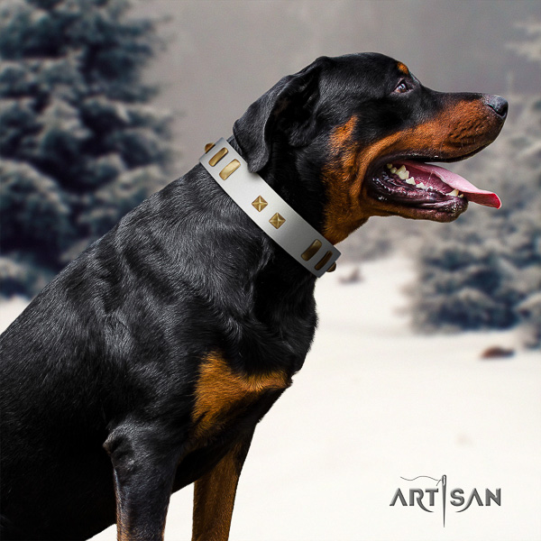 Rottweiler daily walking natural leather collar for your lovely four-legged friend