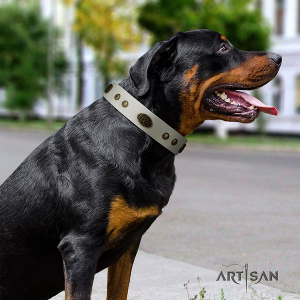 Rottweiler convenient collar with unique studs for your pet
