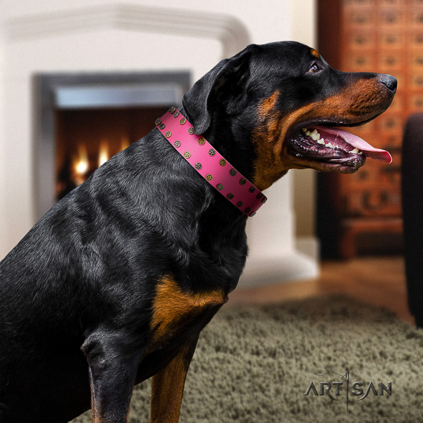 Rottweiler everyday use full grain genuine leather collar for your beautiful doggie