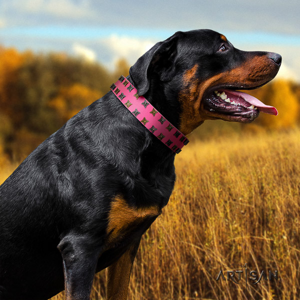 Rottweiler everyday use natural leather collar for your beautiful doggie