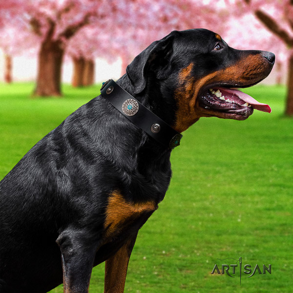 Rottweiler basic training natural leather collar for your lovely dog