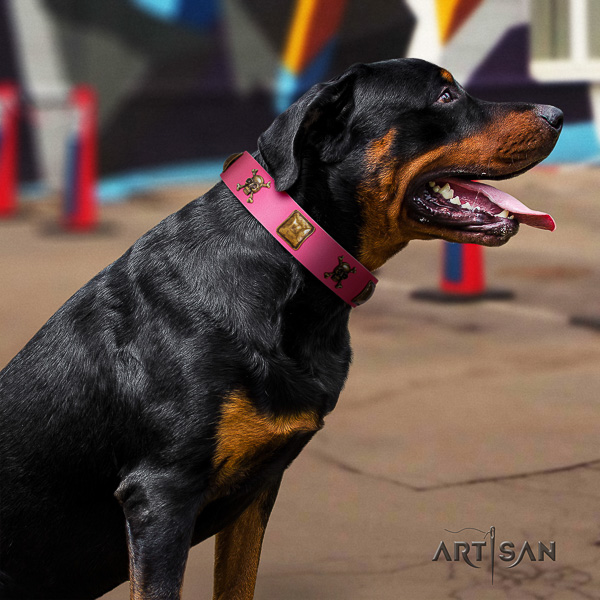 Rottweiler easy wearing genuine leather collar for your lovely pet