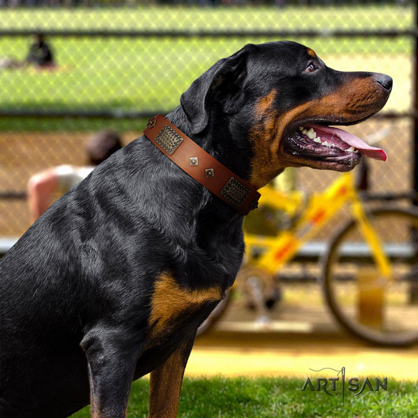 Rottweiler easy to adjust collar with stylish design studs for your pet