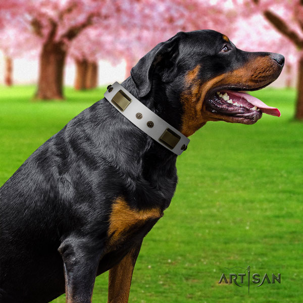 Rottweiler easy wearing collar with extraordinary decorations for your pet