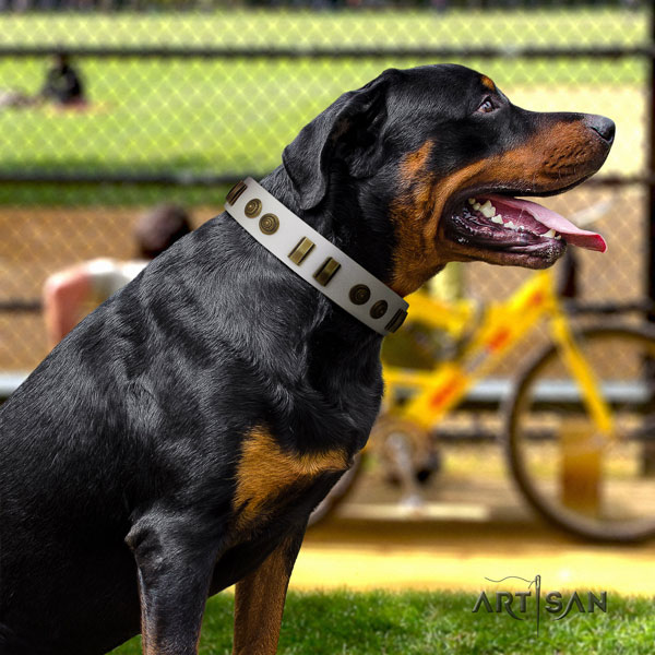 Rottweiler adjustable collar with exceptional decorations for your doggie