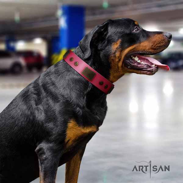 Rottweiler easy wearing collar with trendy studs for your doggie