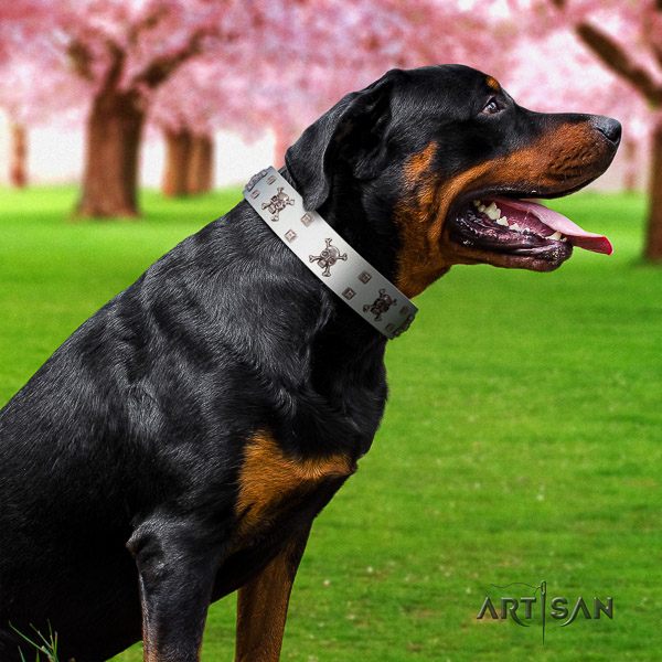 Rottweiler everyday use full grain leather collar for your handsome doggie
