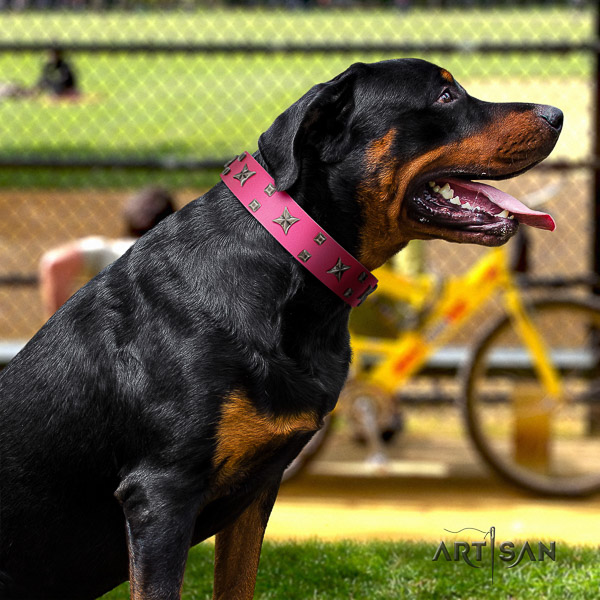 Rottweiler handy use full grain leather collar for your impressive pet