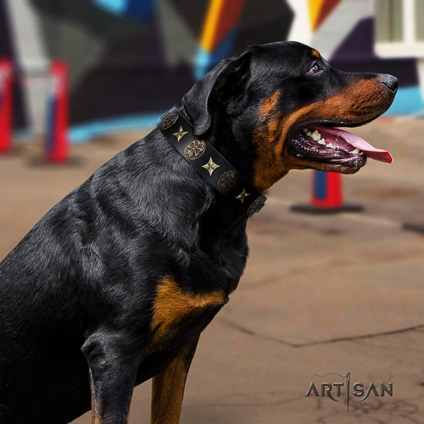 Rottweiler daily use full grain natural leather collar for your stylish doggie