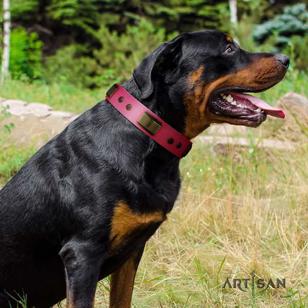 Rottweiler handcrafted collar with inimitable embellishments for your doggie
