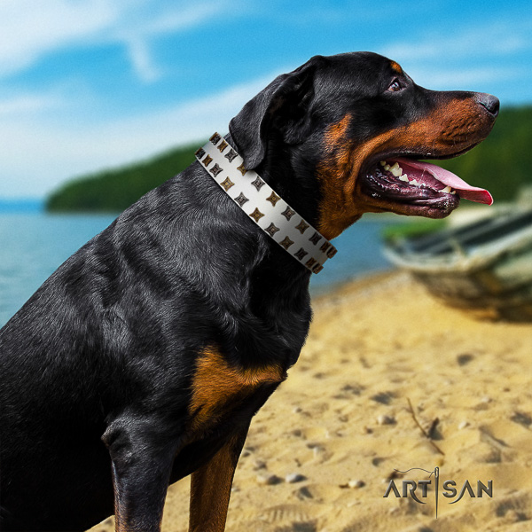 Rottweiler daily walking natural leather collar for your attractive dog