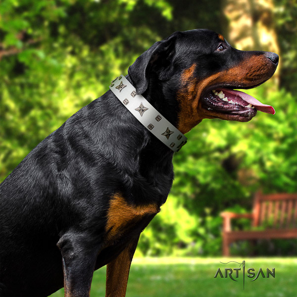 Rottweiler comfortable wearing full grain genuine leather collar for your beautiful doggie