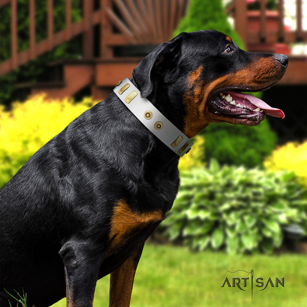 Rottweiler everyday use full grain genuine leather collar for your attractive canine