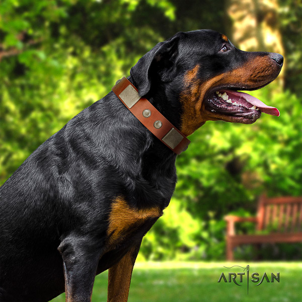 Rottweiler basic training leather collar for your attractive doggie