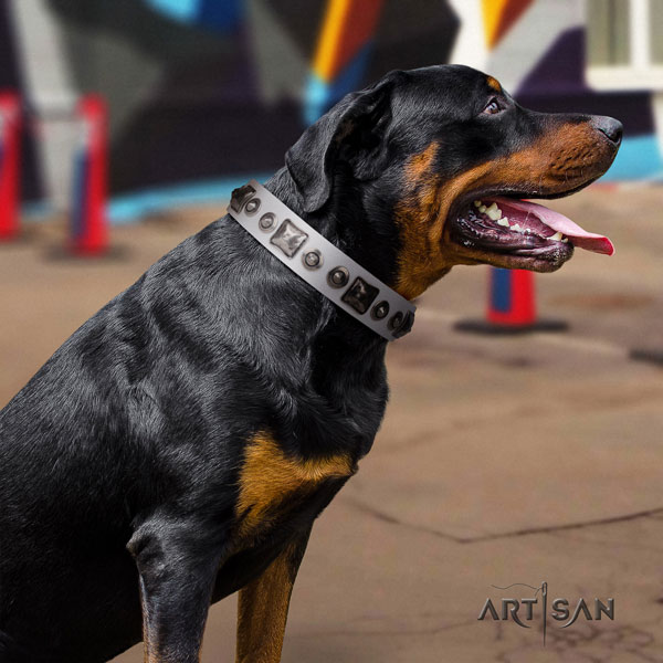 Rottweiler easy to adjust collar with designer adornments for your dog