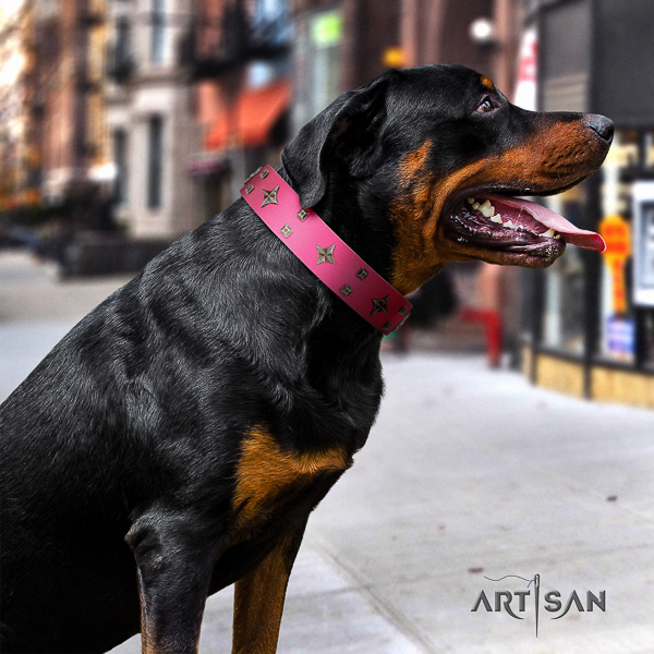 Rottweiler stylish walking full grain leather collar for your impressive doggie
