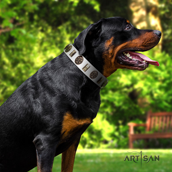 Rottweiler basic training natural leather collar for your handsome dog