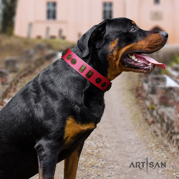 Rottweiler handcrafted collar with impressive decorations for your doggie