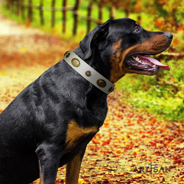 Rottweiler handcrafted collar with exceptional studs for your doggie