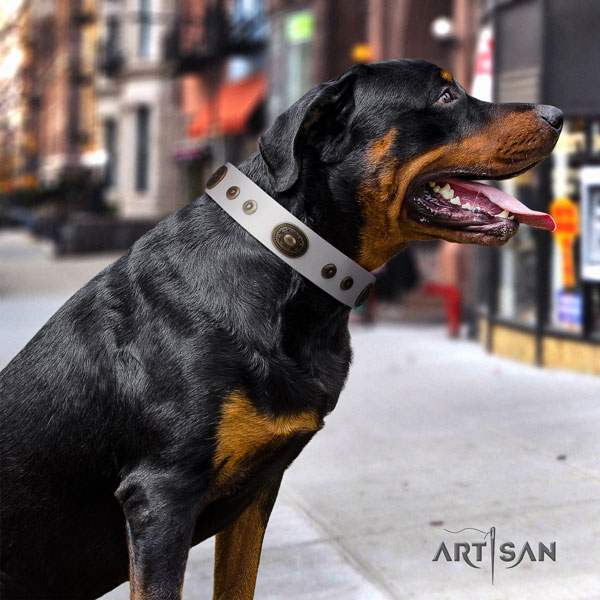 Rottweiler handcrafted collar with remarkable adornments for your four-legged friend