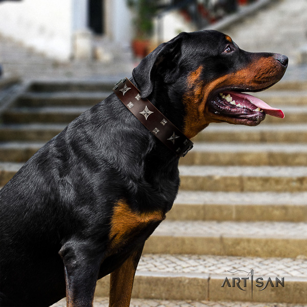 Rottweiler stylish walking leather collar for your attractive doggie