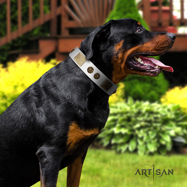 Rottweiler fancy walking genuine leather collar for your stylish canine