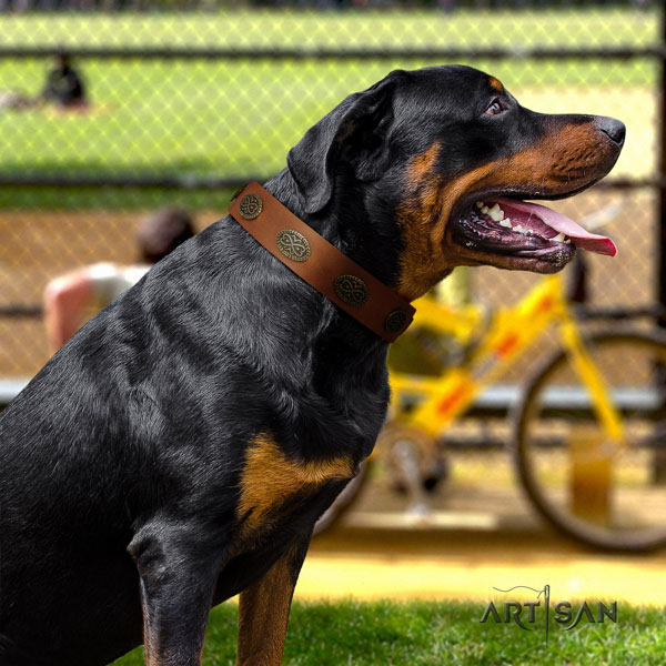 Rottweiler easy to adjust collar with stylish design embellishments for your dog