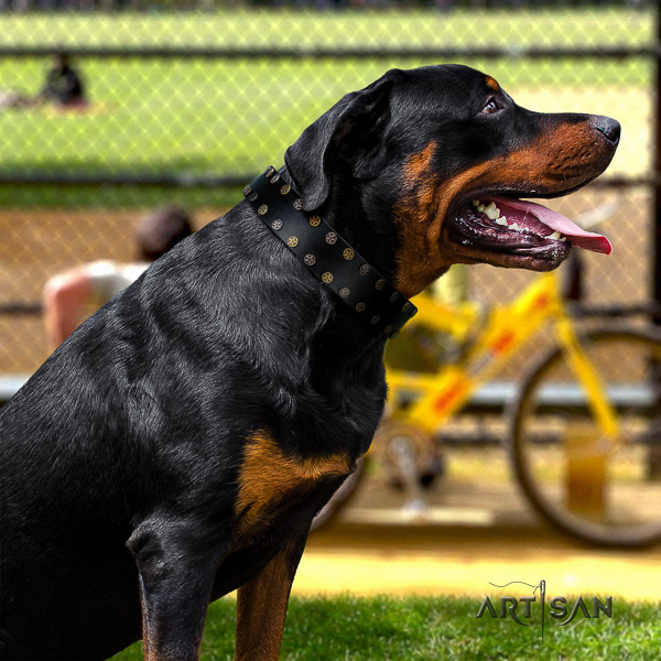 Rottweiler basic training natural leather collar for your attractive doggie