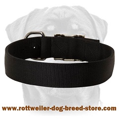 Quality nylon dog collar