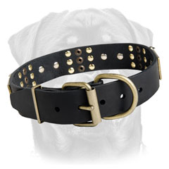 Walking leather dog collar