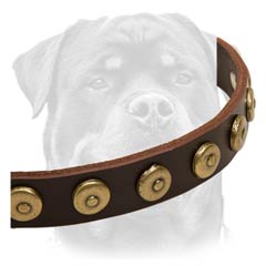 Multifunctional leather dog collar with ornament