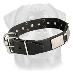 Branded canine collar