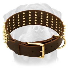 Durable leather dog collar