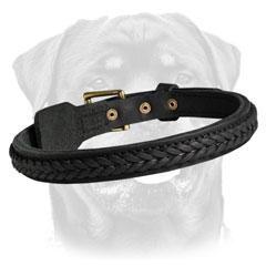 Walking leather dog collar