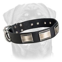 Handmade dog collar