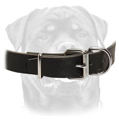 Superior leather dog collar