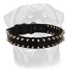 Spiked nylon dog collar