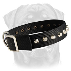 Handmade Rottweiler nylon collar