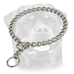 Rottweiler training     Collar of high quality