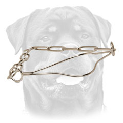 Rottweiler Show     Collar of finest quality