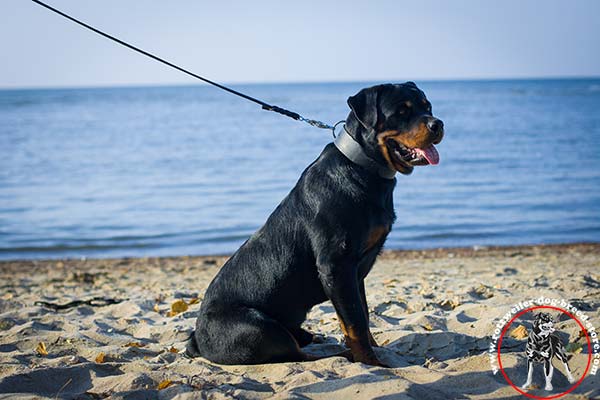 Wear-proof Rottweiler leather collar